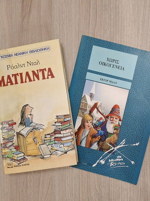 Set of 2 children’s books Matilda and Without Family like new