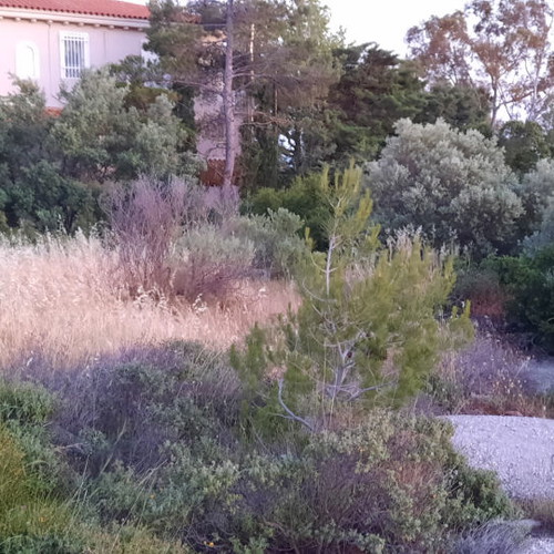 Land 1,500 m² in Drafi, corner plot, within city plan