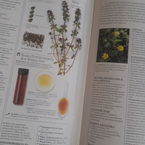 Botanotherapy Large Encyclopedia of Medicinal Plants by Andrew Chevallier used