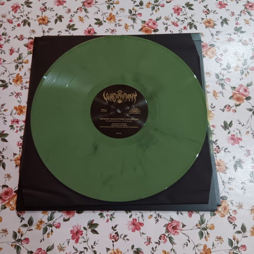 Voidceremony Entropic Reflections Continuum Dimensional Unravel vinyl