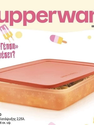 Freezer container 2.25 liters new