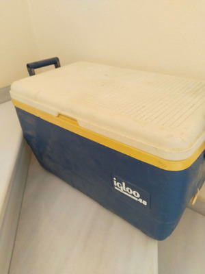 Portable cooler used, Igloo 48