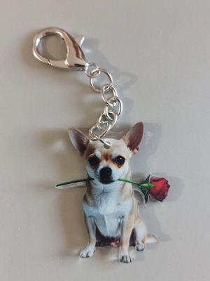 Acrylic double-sided dog keychain No9 new