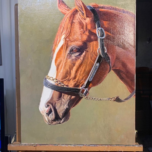 Oil painting on canvas used 50x70