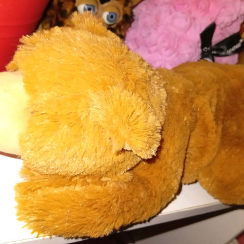 Arcturos plush bear like new