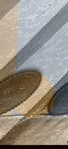 100 δραχμές του 1990, Ελλάς,  Αστέρι Βεργίνας, Μέγας Αλέξανδρος