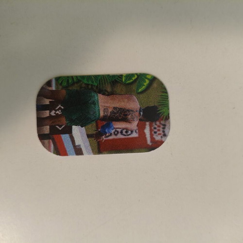 Survivor 2017 collectible caps like new