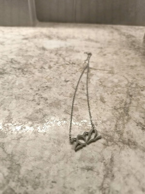 Necklace 2022 new, silver stainless steel