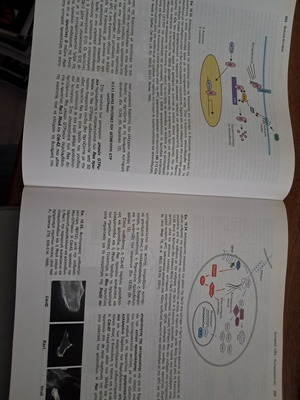 Cell Biology book like new, Greek edition