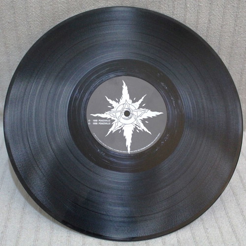 Paradise Lost Lost Paradise vinyl used, LP album