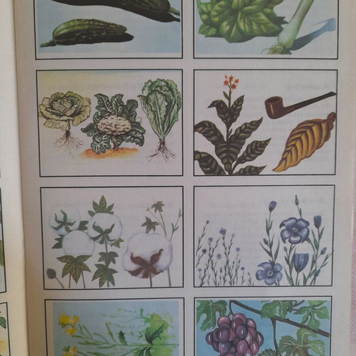 Student images like new, three issues from the 1970s