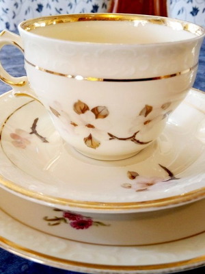 Vintage set of two Danish Kobenhavns Maleri porcelain cups 1930