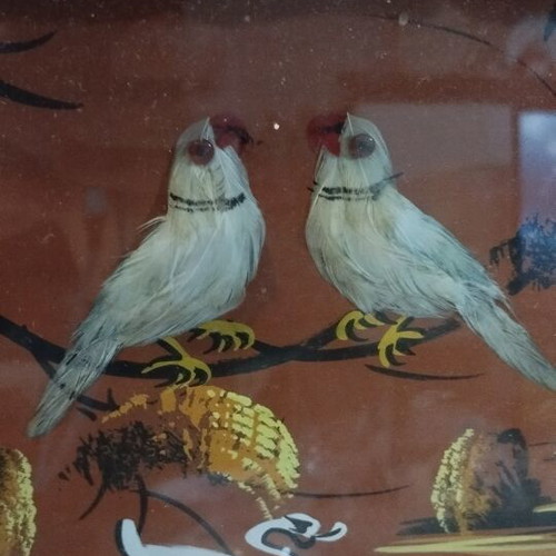 Vintage set of 2 Chinese 3D Feather Art wall frames (1960s-70s)