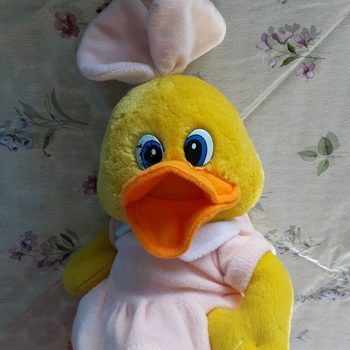 Plush duck used