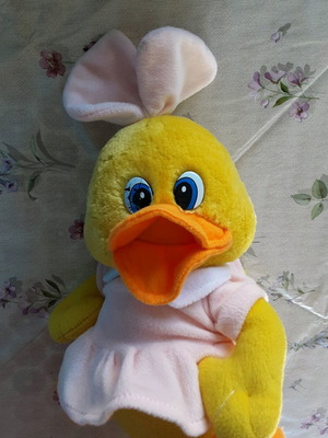 Plush duck used