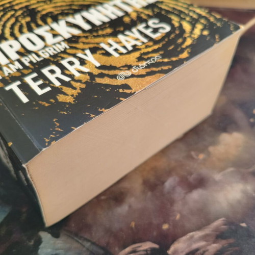 I Am Pilgrim book by Terry Hayes