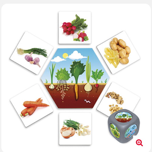 Board game Where Does Food Come From? like new