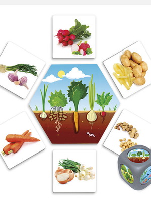 Board game Where Does Food Come From? like new