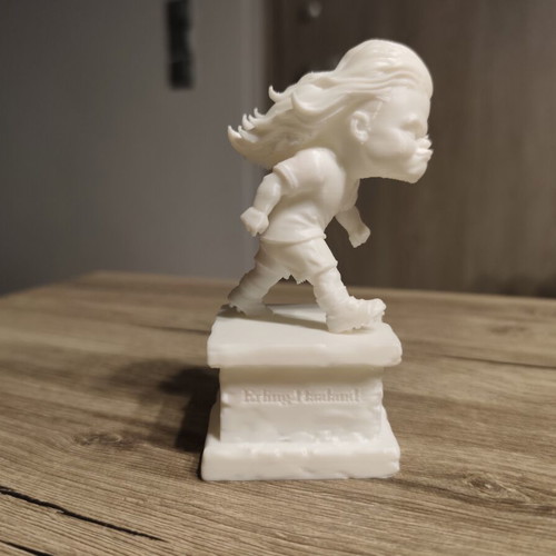 Manchester City Erling Haaland 3D Printed Figure new