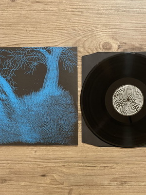 Hair Police Blind Kingdom 12” Vinyl Limited Edition like new