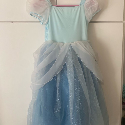 Cinderella costume from Disneyland worn for 2-3 hours