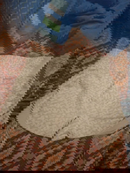 κολαν σορτσακι animal print με σουρες