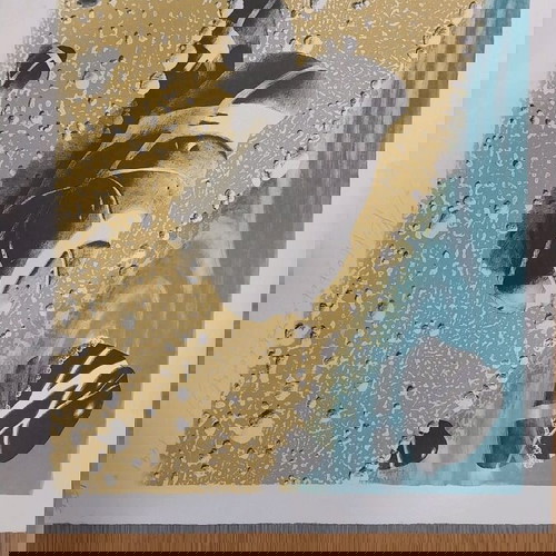 Μεταξοτυπία Γραμματοπουλος 30 x 35