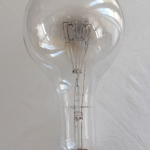 Incandescent light bulb used decorative large size