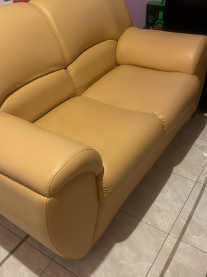 Two-Seater Leather Sofa used