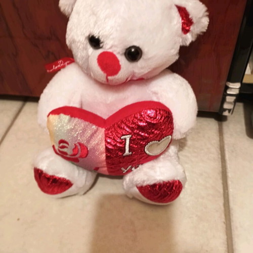 Plush teddy bear new