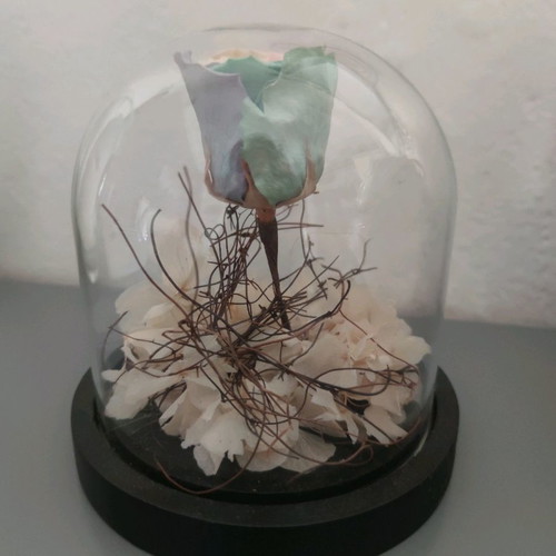Forever rose decorative flower in excellent condition
