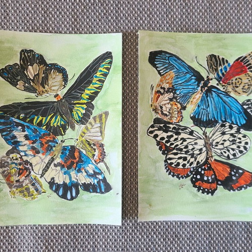 Handmade watercolor set with butterflies new