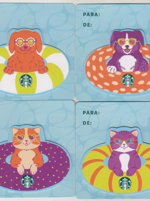 Starbucks Argentina Cats in a Floatie σετ 4 ξυστών καρτών