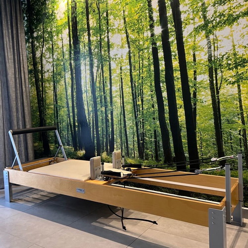 Pilates Reformer bed used with 5 resistances Artaction