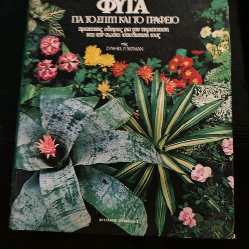 Decorative Plants like new, Cynthia Whitman