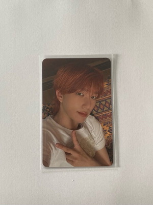 𐙚 Theo P1H Pob Photocard new