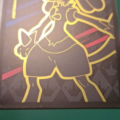 Pokemon card Volo like new