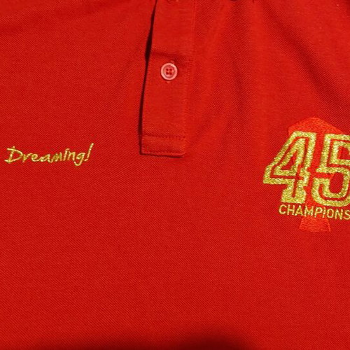 Olympiacos Jersey collectible, like new, authentic