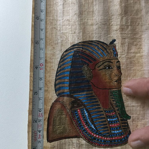 Pharaoh Papyrus used with painting