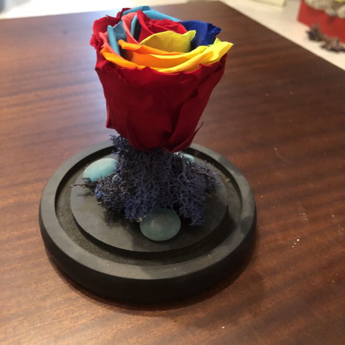 Forever Rose rainbow in glass dome with wooden base