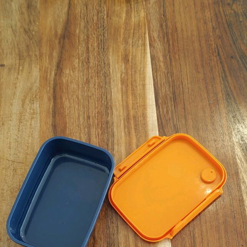 Dino plastic food container 800ml