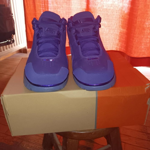 Nike Air Zoom Generation 'Court Purple' Lebron James new size 43.5 sneakers