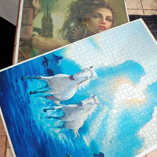 Puzzle set of 2 framed 1000-piece puzzles by Heye, like new