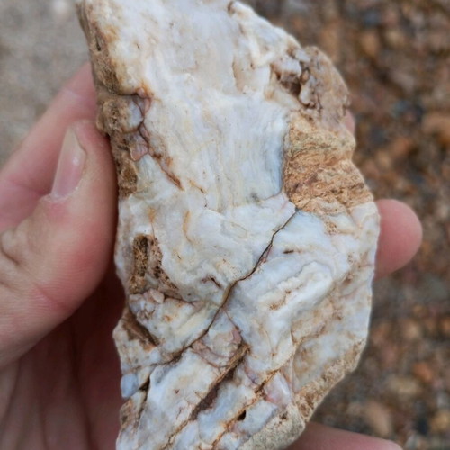 Milky quartz new with chalcedony from the eastern Aegean