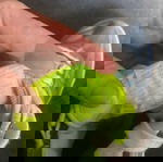  Nike γνήσια μποτάκια τζιν χρωμα