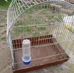 Birdcage used, clean condition