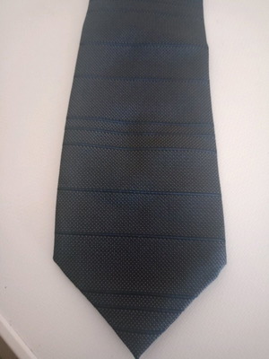 Sas vintage flight attendant tie like new, blue
