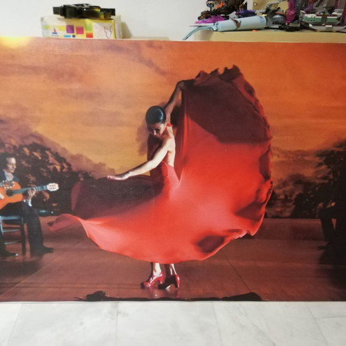 Canvas print painting 80 x120 cm new