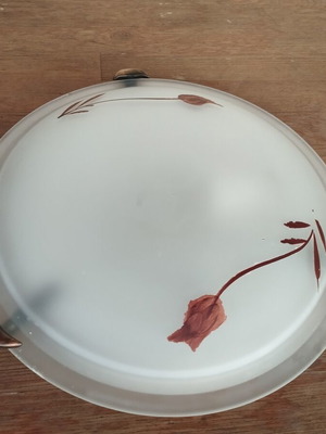 Ceiling light glass used