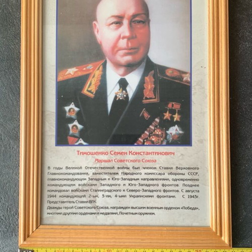 Timoshenko like new